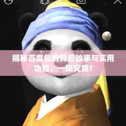 揭秘百度包的背后故事与实用功能，一探究竟！