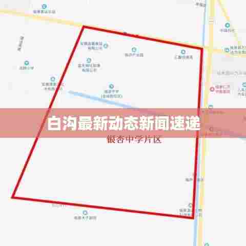 白沟最新动态新闻速递