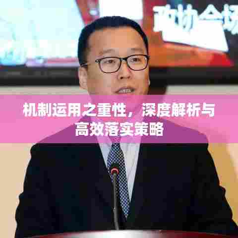 机制运用之重性，深度解析与高效落实策略