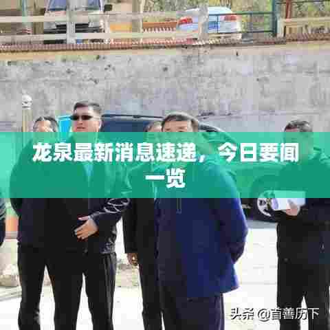 龙泉最新消息速递，今日要闻一览
