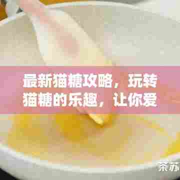 最新猫糖攻略，玩转猫糖的乐趣，让你爱不释手！