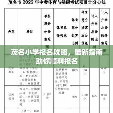 茂名小学报名攻略，最新指南助你顺利报名