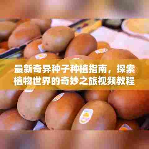 最新奇异种子种植指南，探索植物世界的奇妙之旅视频教程