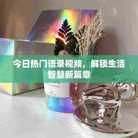 今日热门语录视频，解锁生活智慧新篇章