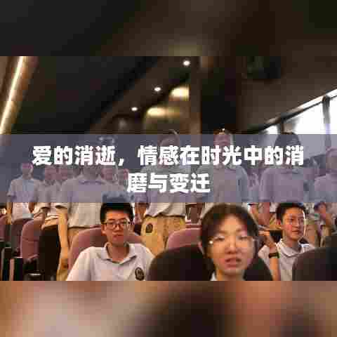 爱的消逝，情感在时光中的消磨与变迁