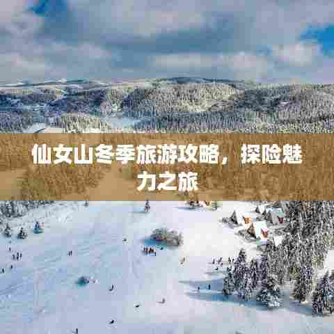 仙女山冬季旅游攻略，探险魅力之旅