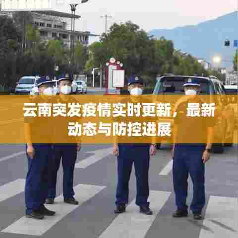 云南突发疫情实时更新,最新动态与防控进展