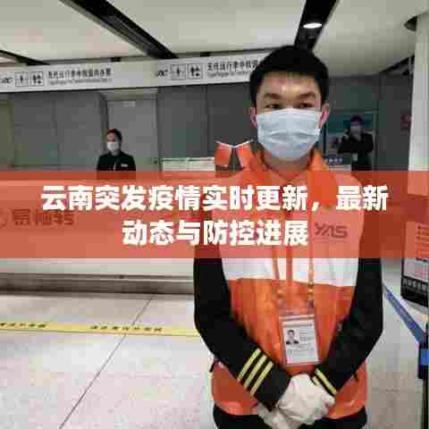 云南突发疫情实时更新,最新动态与防控进展