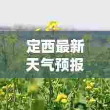 定西最新天气预报，今日天气情况速览