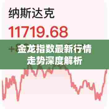 金龙指数最新行情走势深度解析