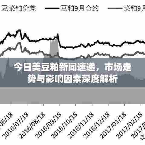 今日美豆粕新闻速递，市场走势与影响因素深度解析