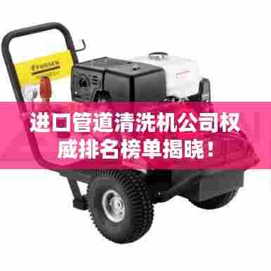 进口管道清洗机公司权威排名榜单揭晓！