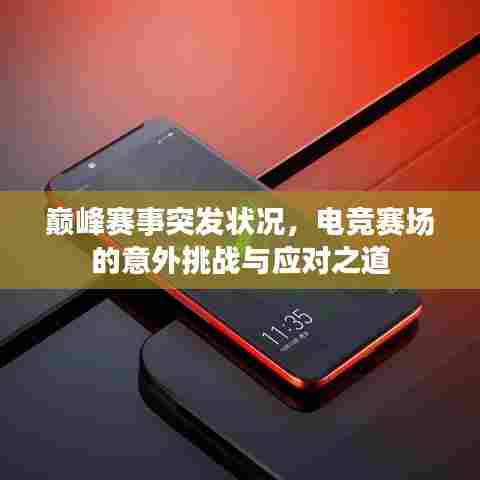巅峰赛事突发状况，电竞赛场的意外挑战与应对之道