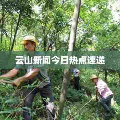云山新闻今日热点速递