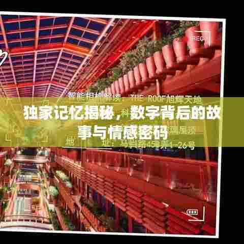 独家记忆揭秘，数字背后的故事与情感密码