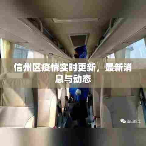 信州区疫情实时更新，最新消息与动态