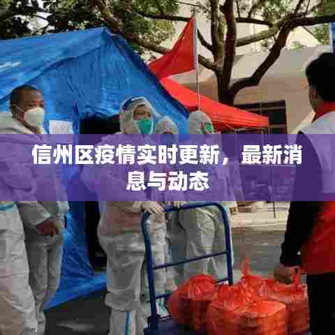 信州区疫情实时更新,最新消息与动态
