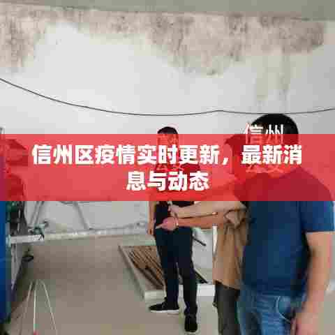 信州区疫情实时更新,最新消息与动态