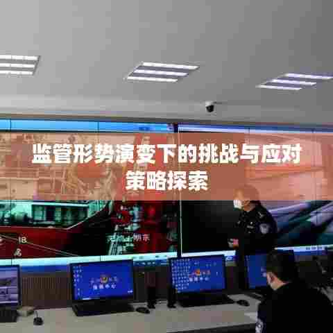 监管形势演变下的挑战与应对策略探索