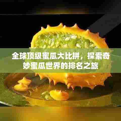 全球顶级蜜瓜大比拼,探索奇妙蜜瓜世界的排名之旅