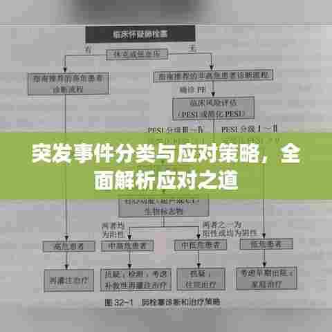 突发事件分类与应对策略，全面解析应对之道