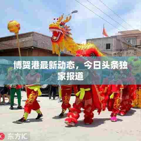 博贺港最新动态，今日头条独家报道