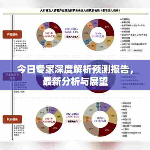 今日专家深度解析预测报告，最新分析与展望