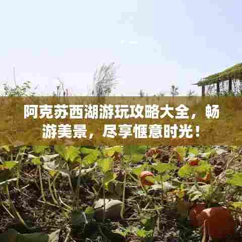 阿克苏西湖游玩攻略大全,畅游美景,尽享惬意时光!