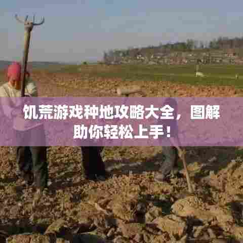饥荒游戏种地攻略大全，图解助你轻松上手！