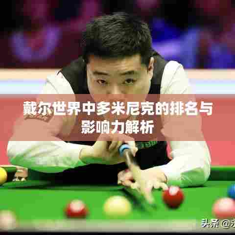 戴尔世界中多米尼克的排名与影响力解析