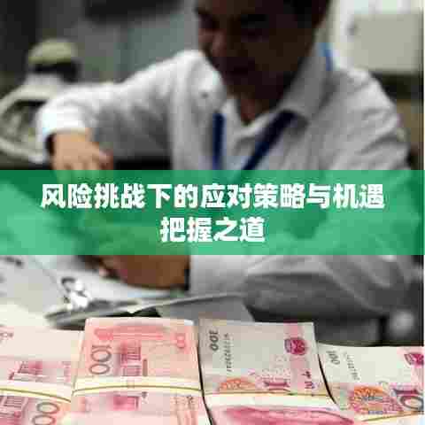 风险挑战下的应对策略与机遇把握之道