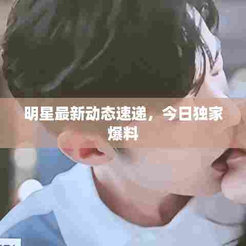 明星最新动态速递，今日独家爆料