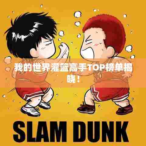 我的世界灌篮高手TOP榜单揭晓！