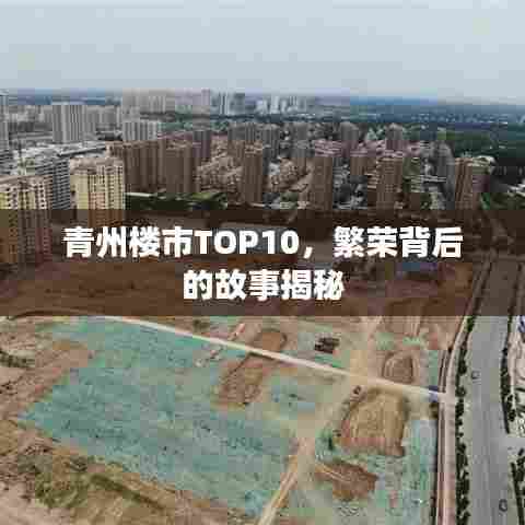 青州楼市TOP10，繁荣背后的故事揭秘