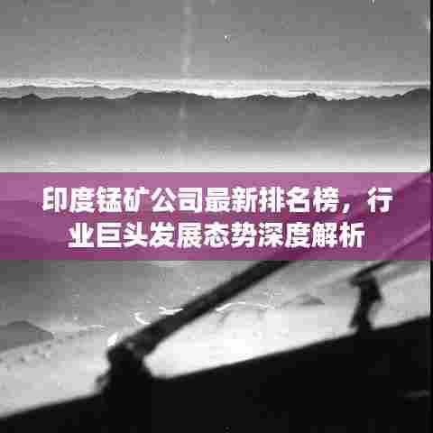 印度锰矿公司最新排名榜，行业巨头发展态势深度解析