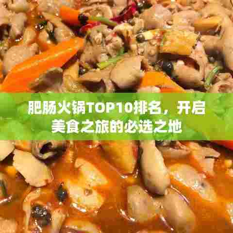 肥肠火锅TOP10排名，开启美食之旅的必选之地