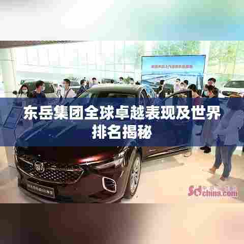东岳集团全球卓越表现及世界排名揭秘