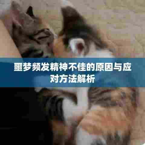 噩梦频发精神不佳的原因与应对方法解析