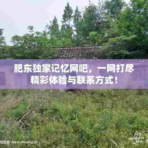 肥东独家记忆网吧,一网打尽精彩体验与联系方式!