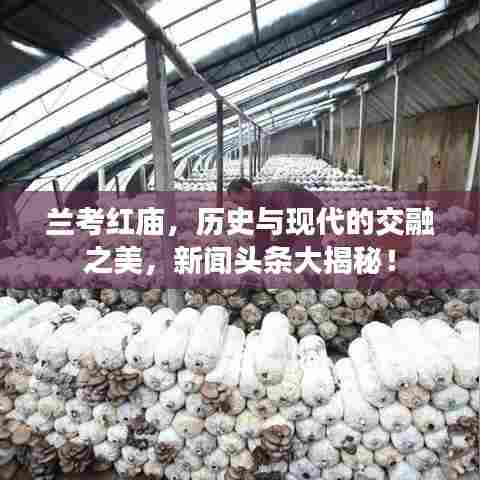 兰考红庙,历史与现代的交融之美,新闻头条大揭秘!