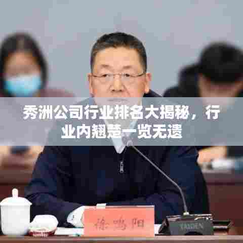 秀洲公司行业排名大揭秘，行业内翘楚一览无遗