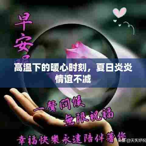 高温下的暖心时刻,夏日炎炎情谊不减