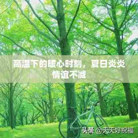 高温下的暖心时刻,夏日炎炎情谊不减