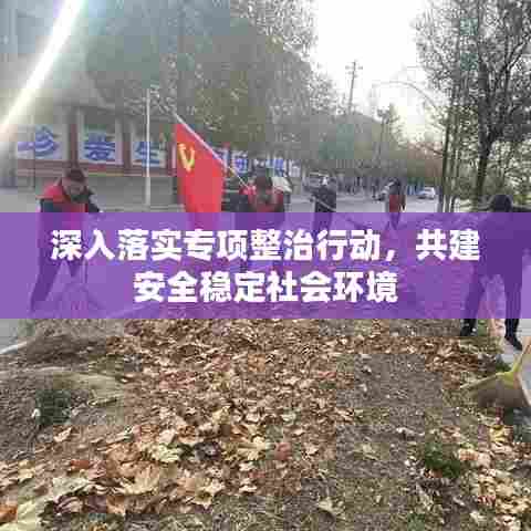 深入落实专项整治行动，共建安全稳定社会环境