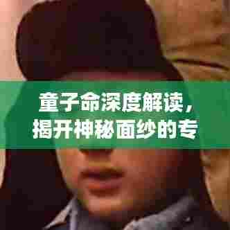 童子命深度解读，揭开神秘面纱的专题探索