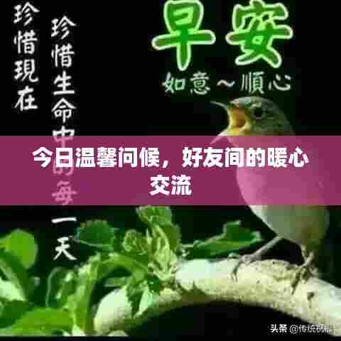 今日温馨问候,好友间的暖心交流