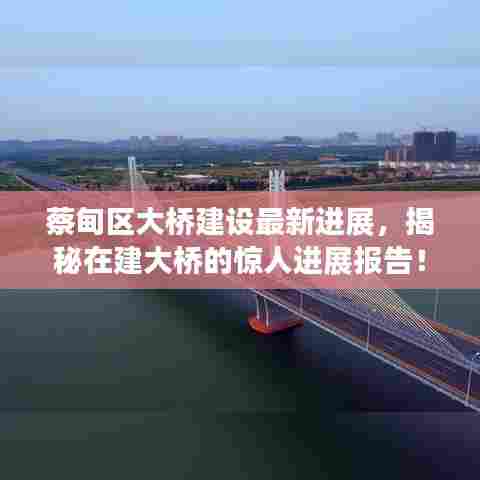 蔡甸区大桥建设最新进展,揭秘在建大桥的惊人进展报告!