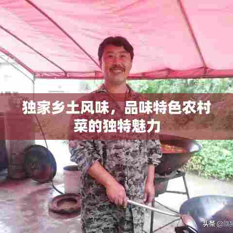 独家乡土风味，品味特色农村菜的独特魅力