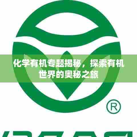 化学有机专题揭秘，探索有机世界的奥秘之旅