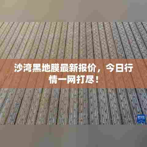 沙湾黑地膜最新报价，今日行情一网打尽！